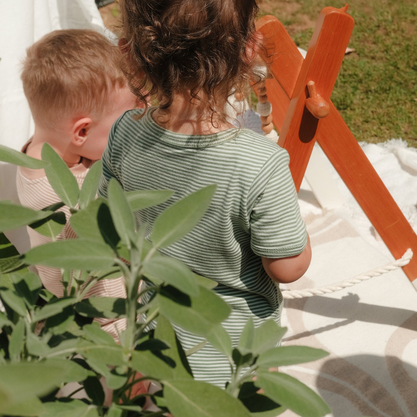 Short - Sleeved Bodysuits in Palm Mist