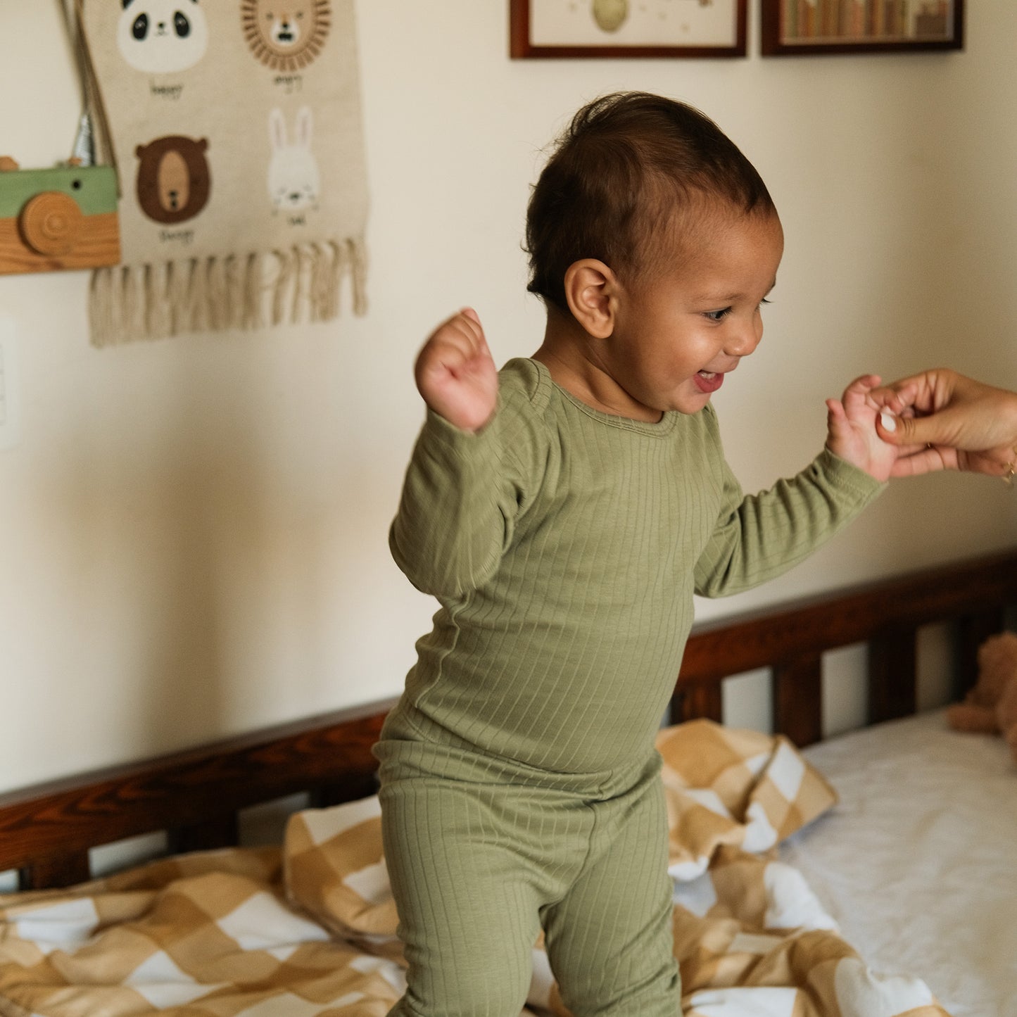 Forest Striped Leggings- Pack of 2